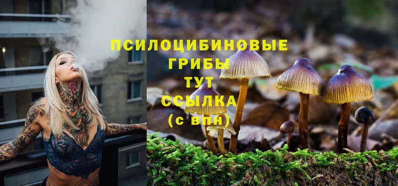 hydra ONION  Большой Камень  Галлюциногенные грибы GOLDEN TEACHER 